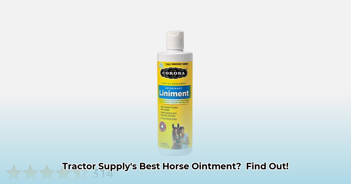 horse-ointment-tractor-supply